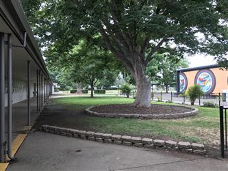 Inner courtyard of campus with tree
