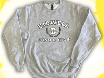 Crewneck Sweatshirt - Gray